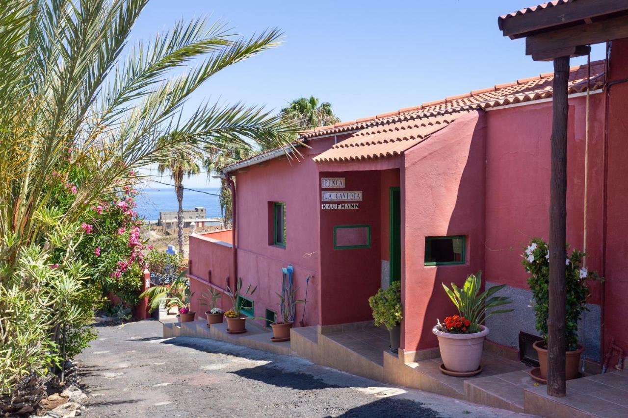 Finca La Gaviota - Las Flores イコー・デ・ロス・ビノス エクステリア 写真